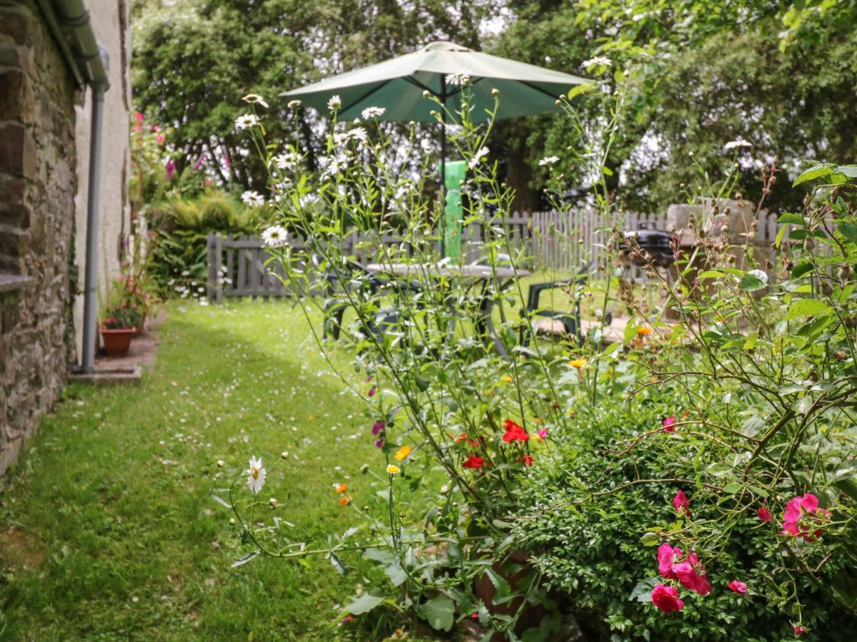Badger Cottage Mawgan Ngoại thất bức ảnh