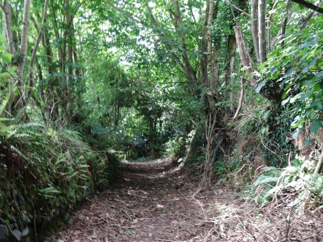Badger Cottage Mawgan Ngoại thất bức ảnh